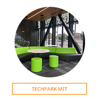 TechPark MIT Case Study